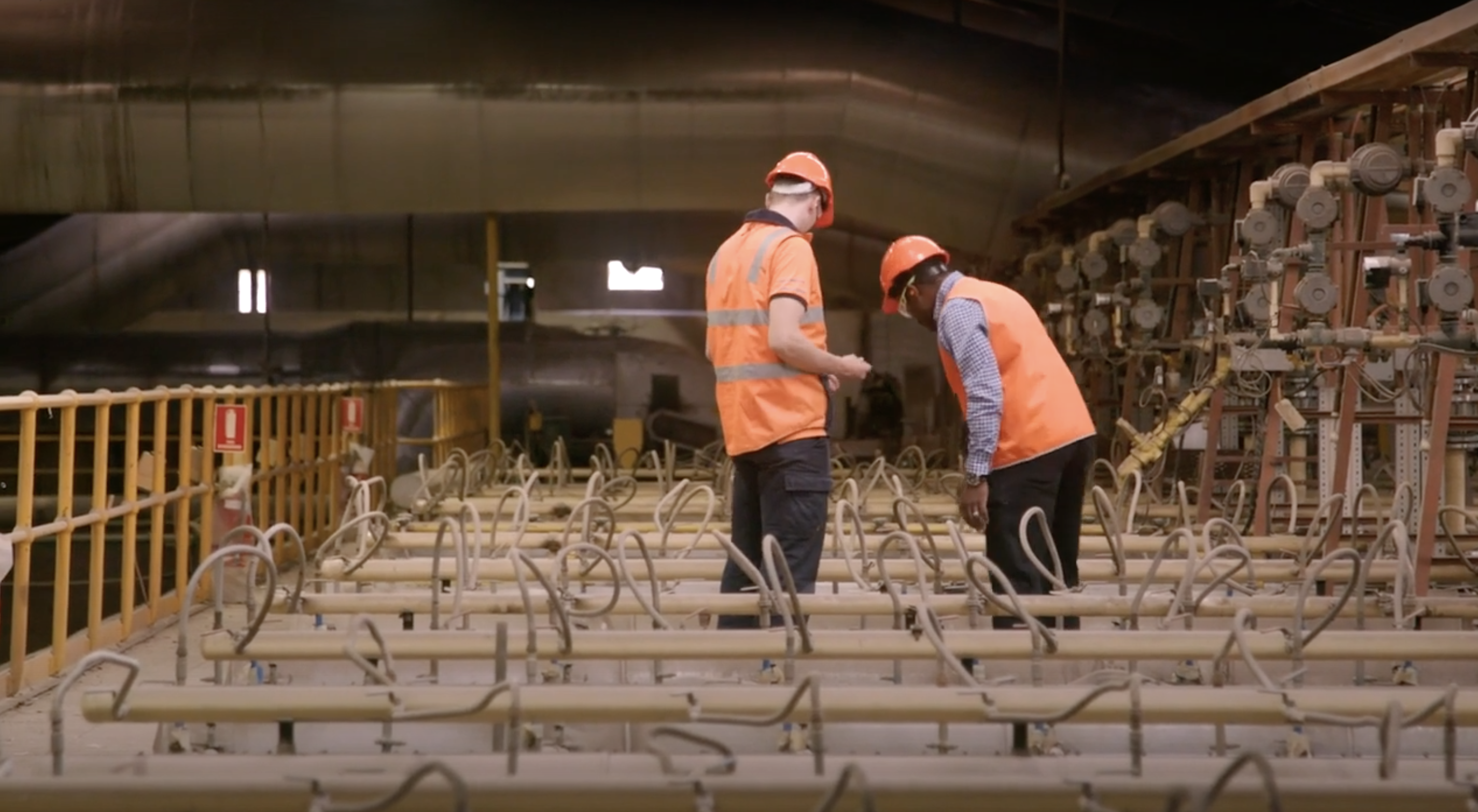 49965534443_4c7d5d42dc_o (1)