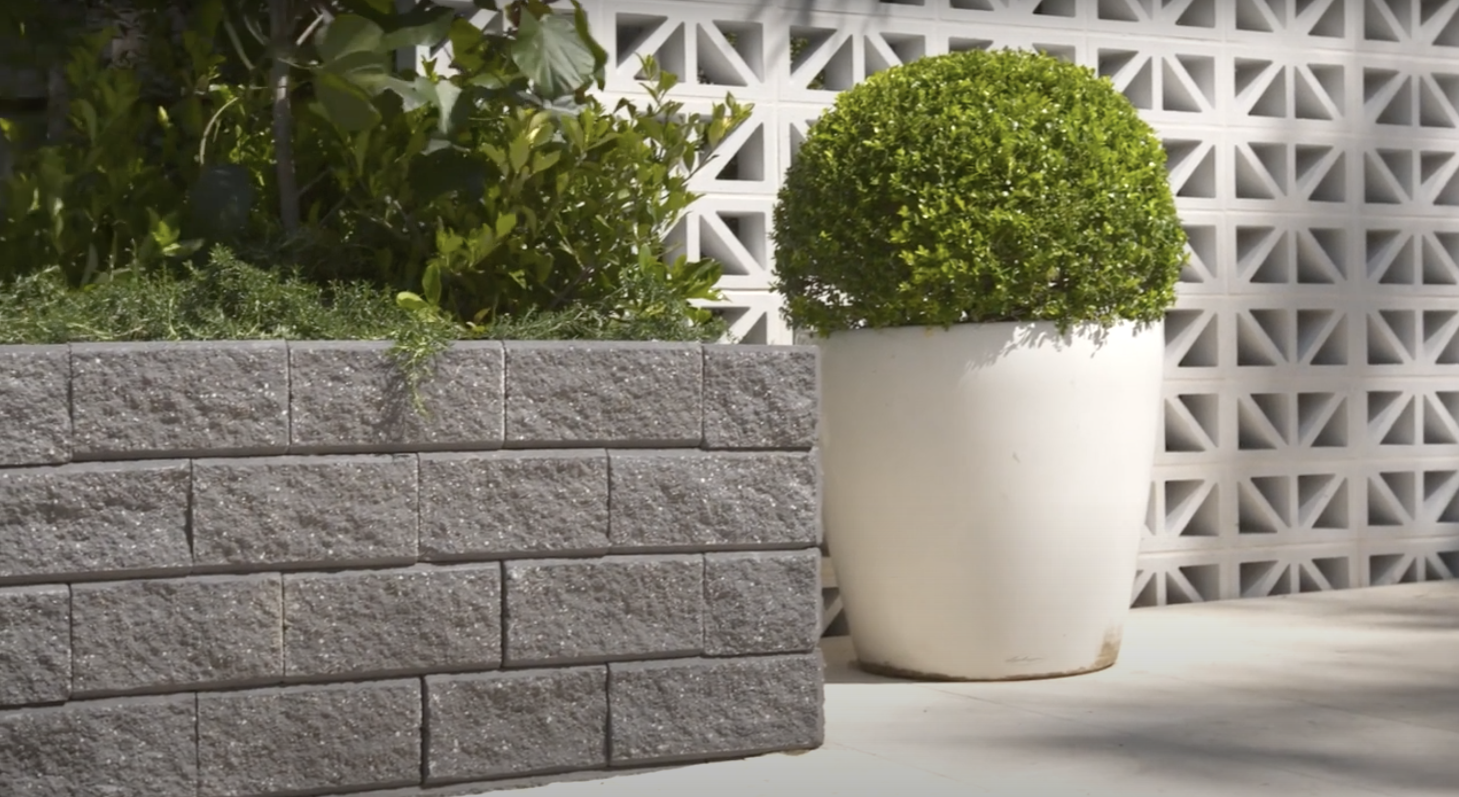 49965710307_e25eb77ee8_o