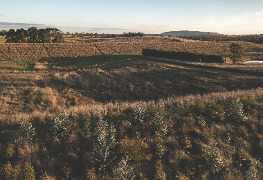 Berrima-12